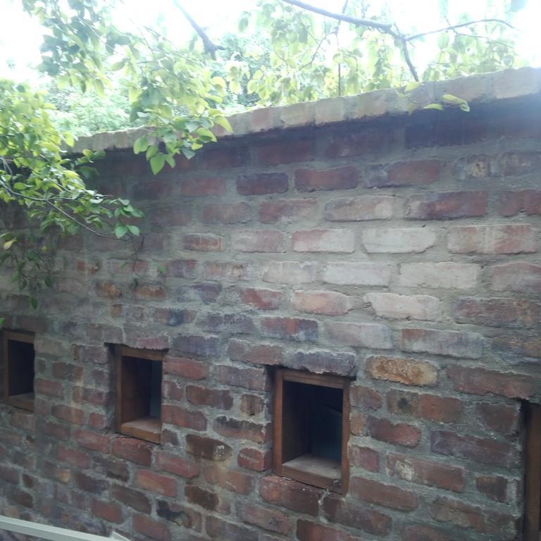 Zebrina Guest House Mbombela Exterior foto